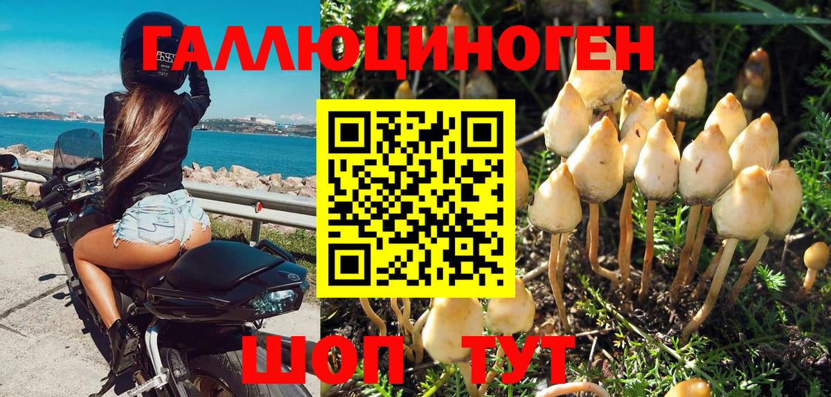 Галлюциногенные грибы Magic Shrooms  Галлюциногенные грибы Psilocybine cubensis  Вход с VPN  Клин 